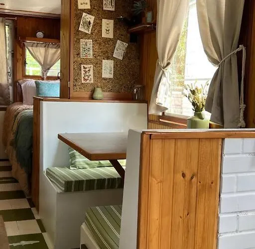 Vintage Minnow For 2 Houseboat Savanna